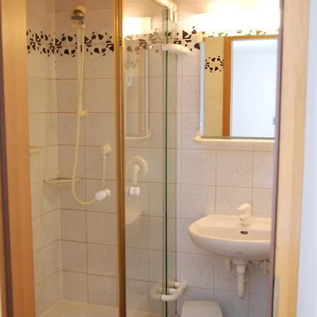 Hotel-restaurant Zum Goldenen Hahnen Guest house *